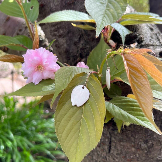  Sakura-Ohrringe, inspiriert von den majestätischen Kanzan-Kirschbäumen in Paris