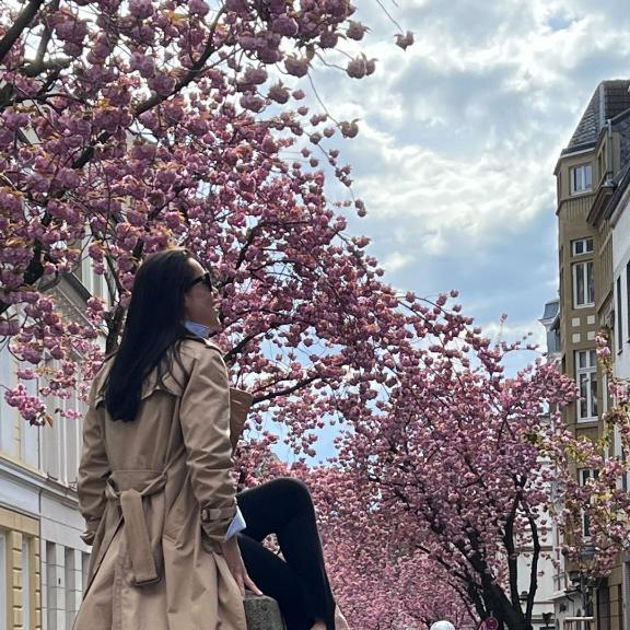 Die blühenden Kirschbäume in Bonn im Frühling, perfekt für Selfies und Sakura-Liebhaber. Sakura ist Star.